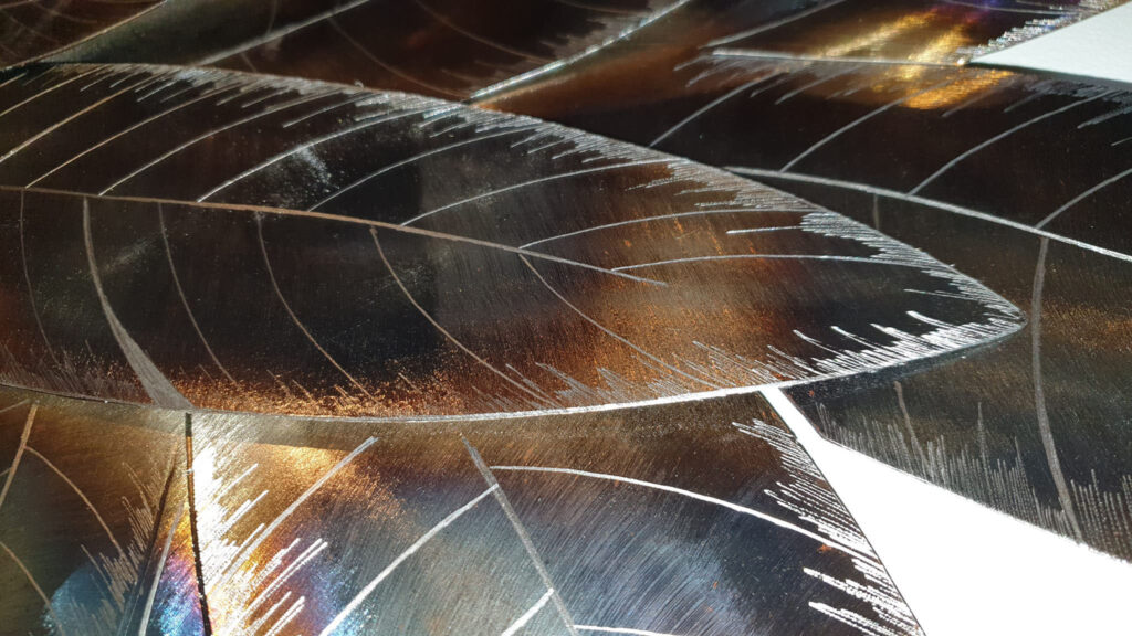 Les Ailes de Fée – Image 3