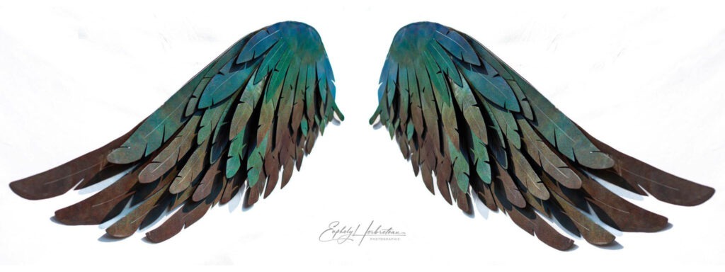 Les Ailes de 3 M – Image 3